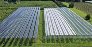 Vista aerea di un impianto agrivoltaico con pannelli solari e coltivazioni protette